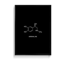 Adrenaline Aesthetic (For Him) Frame & Poster | HD Acrylic For Him Wall Decor for Home & Office | Wall Ready Design Frames & Posters